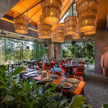 Stara Pravda - Vykrutasy Boekovel